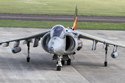 Harrier Jump Jet taxiing at Shoreham Air Show 2010