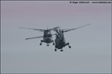 Royal Navy Black Cats Display Team Westland Lynx pair at Southend Festival of the Air 2009