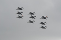 Harrier diamond nine at the No. 4 Squadron practice disbandment flypast at RAF Cottesmore