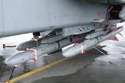 Air Launched Anti-Radiation Missile (ALARM) at the 25th anniversary of the Tornado at RAF Marham